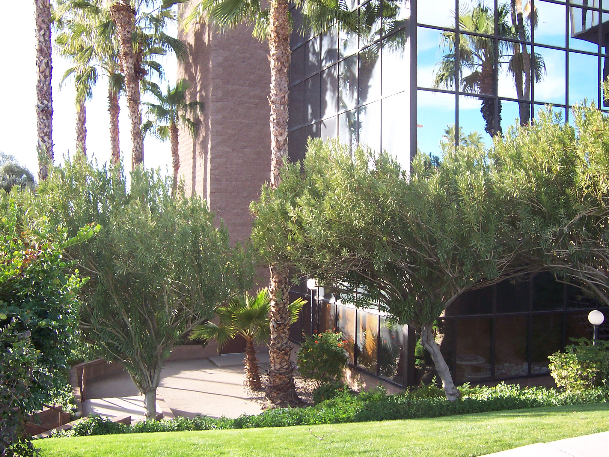 3 Story Office Building 100 2964