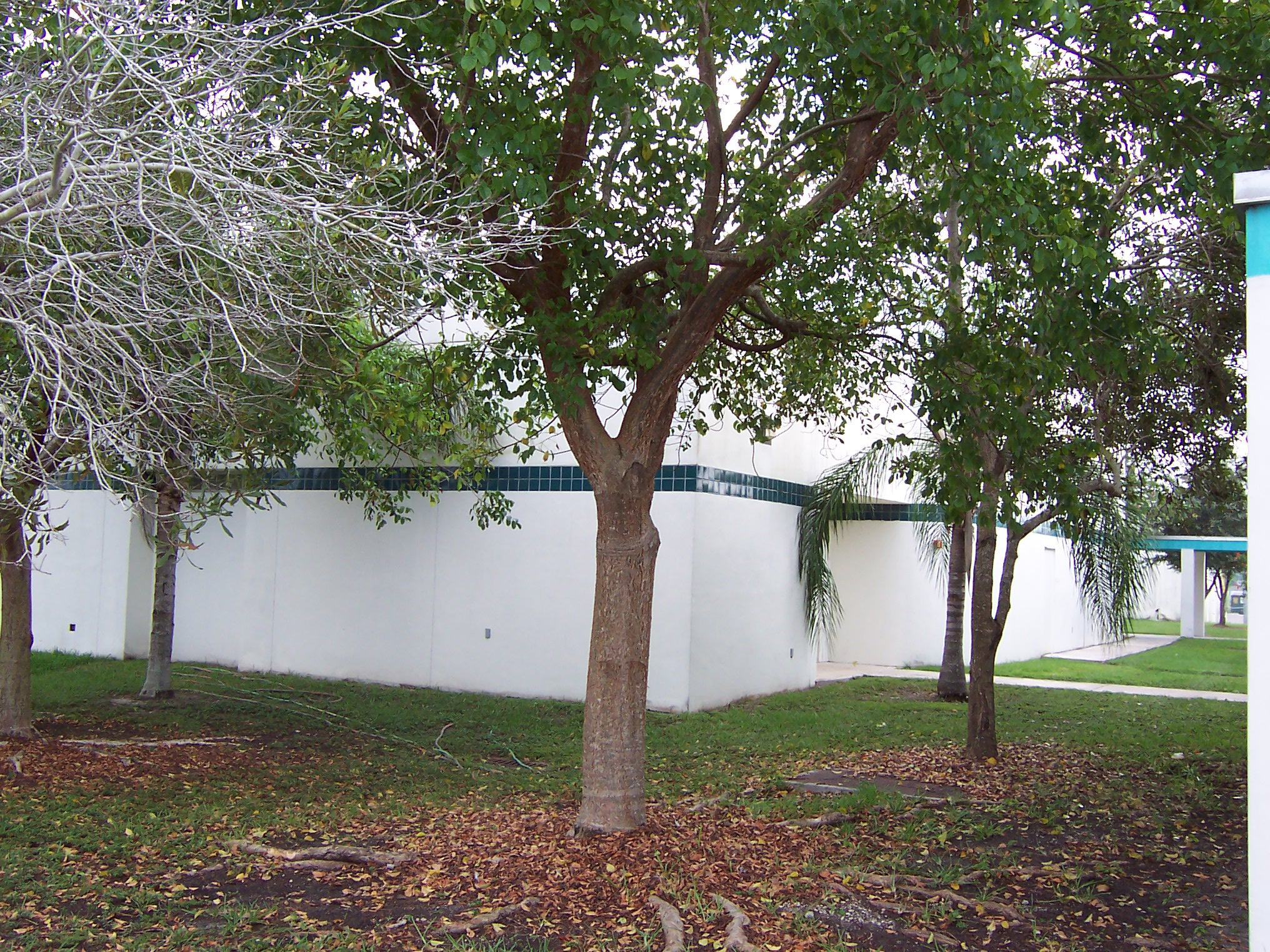 Oak Grove Elementary School oak grove elemintary school 3